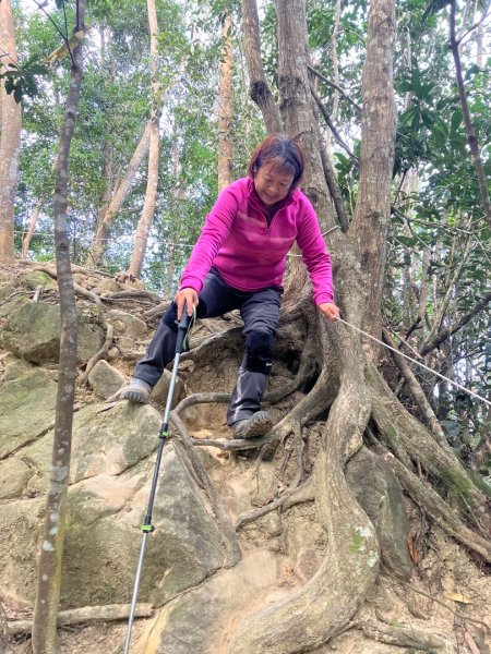 苗栗金童山、玉女山、汶水山2672920