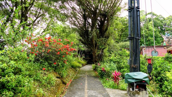 南港四小山。韓美磋2766471