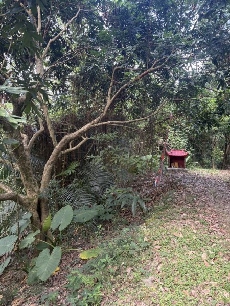 20251101烏山縱走北段 雲山寺至刣牛湖山(途經風空子山.孟璋山.烏山.刣牛湖山北峰)2928747