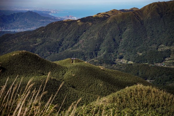 小油坑上七星山2979221