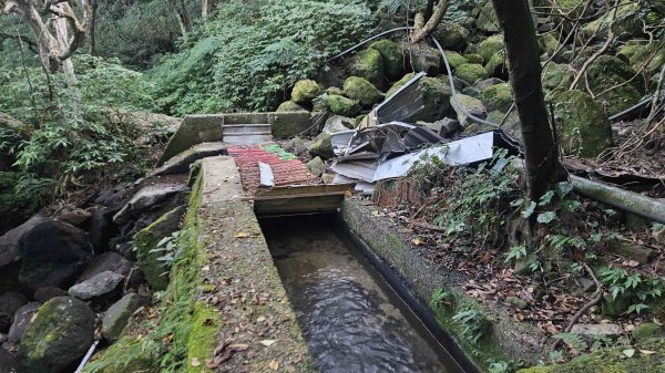 20251007冷水山西峰-三重橋山-挑硫古道-大油坑山前峰-大油坑山2907641