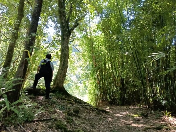 坪林區南豹子廚山+豹子廚古道+北豹子廚山2900478