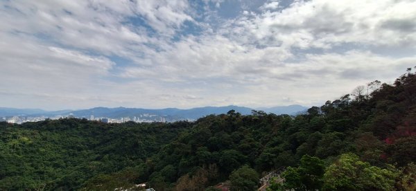 【小百岳16】三訪南勢角山+貓與土地公的故事2709741