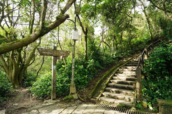 臺北 南港 南港山、拇指山、象、獅、豹、虎、四分里山、茅草埔山2803423