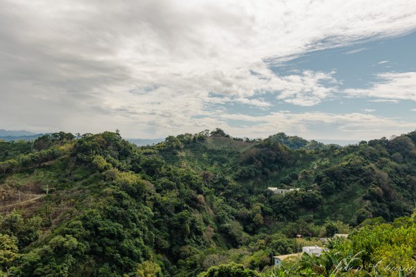 [台中]聚興山2703785