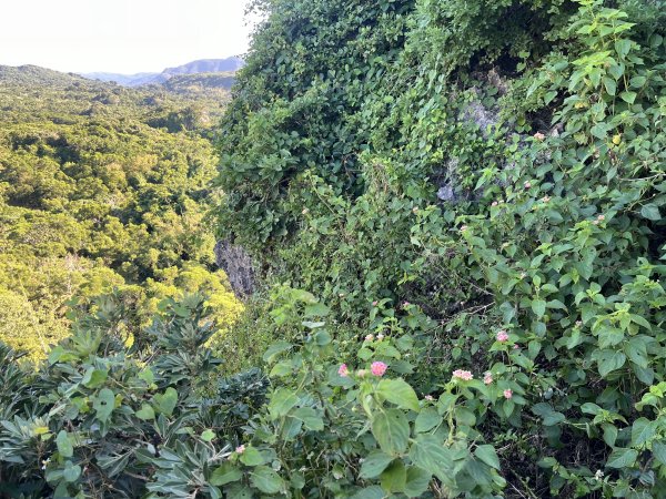 [屏步青雲 尋寶任務-07/10] 2024_1006 社頂自然公園步道2616871