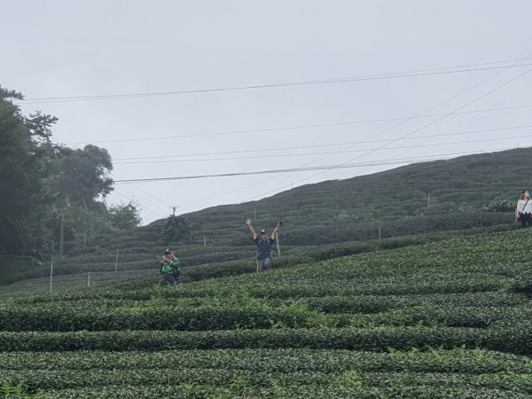 【雲嘉】後棟山連走大二尖山1478486