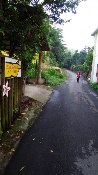 1090801五峰天際線，鳥嘴進，上坪出