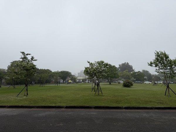 [樟之細路_第一大段RSA03] 2026_0329 石園3027055