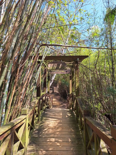 造橋口山古道202503122734404