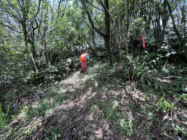 司公髻尾山2802985