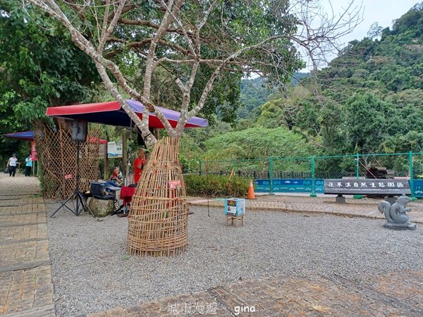 【苗栗南庄】沿途潺潺溪水聲。 蓬萊溪護魚步道2688938