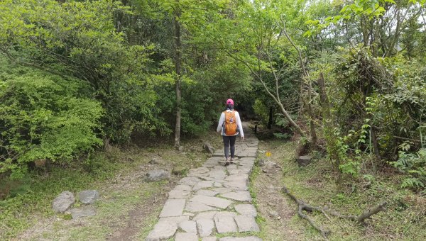 (姨婆趴趴走)第五十一集:台北冷擎步道、金包里大路(魚路古道)2757245