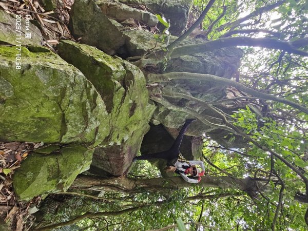 20251117新竹內灣三山四峰(內灣山.麥樹仁山南峰.麥樹仁山.白石湖山)2939901