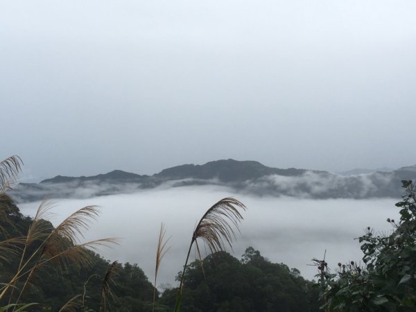 三峽晚霞紅光～～東眼山雲海793738