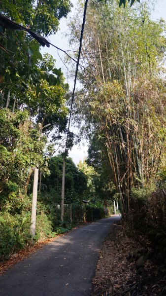 蘭潭後山步道、紅毛埤山1271927