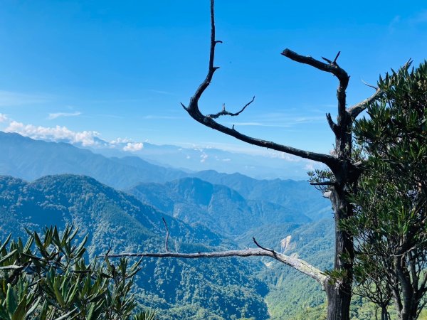 鳶嘴山-稍來山O型縱走(中級山 / 小百岳) 刺激攀岩。山嵐繚繞。傳神小象。杉樹林群。2583513