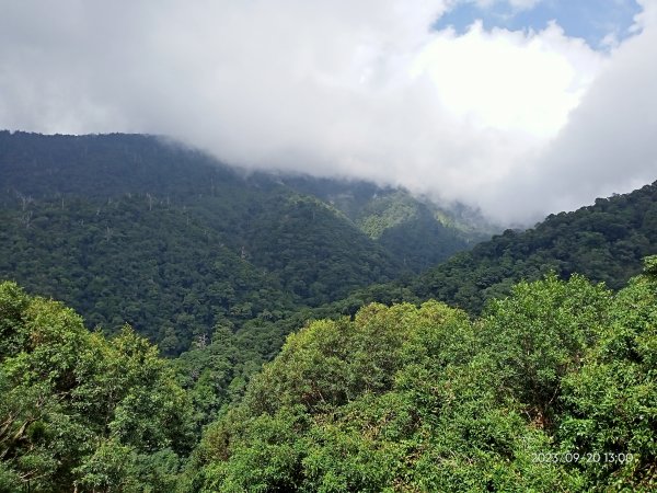 拉拉山國家森林遊樂區、神木群步道【桃園-臺灣百大必訪步道、走路趣尋寶】2292680