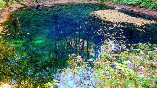秋田縣白神山地十二湖2929775