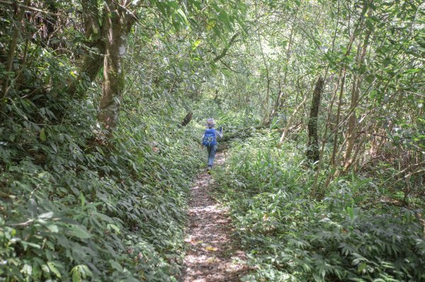 闊瀨古道-沿北勢溪谷而行的夏末之旅（淡蘭古道）2287666