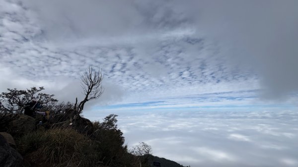 再也不爬囉（告別20252973157