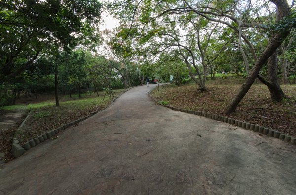 基隆情人湖步道445078