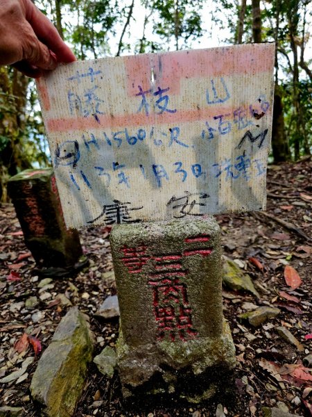 藤枝山-小百岳#68-高雄市桃源區2750330