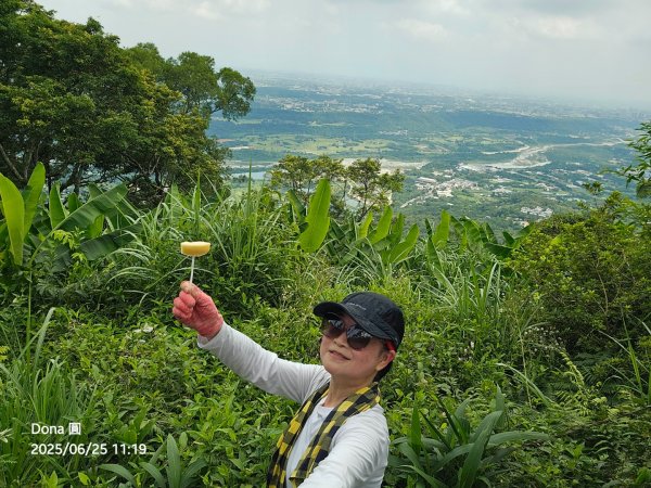大溪大九芎步道上小百岳溪洲山(H577m)2844317