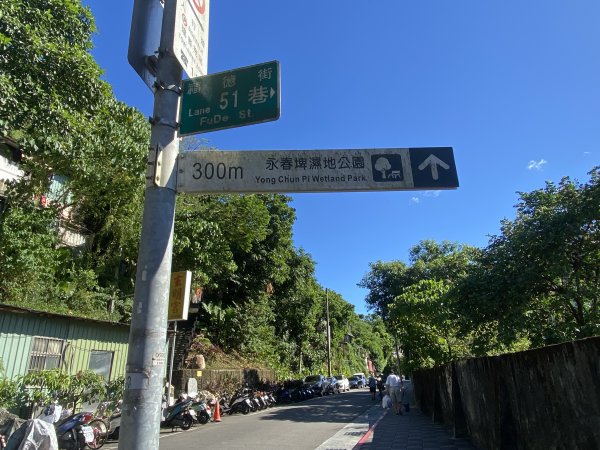 【四獸山 Short】虎豹象先行！獅山封閉中，等新步道開箱再相見2888783