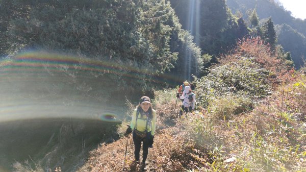 惠蓀大O聖逆走二部曲  2024年12月29日2679246