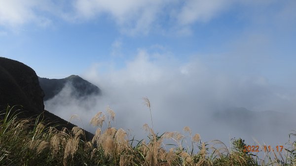 陽明山雲海季6日內連三場+流瀑+觀音圈，天空之城 ?大水沖倒龍王廟 ?水淹金山寺 ?1915928