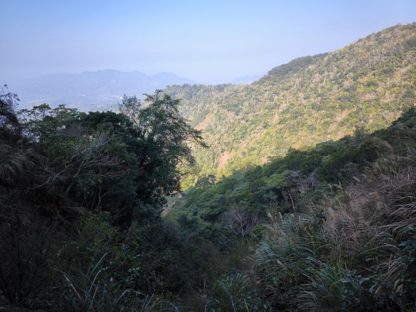 2026-02-10 白雲山2999935