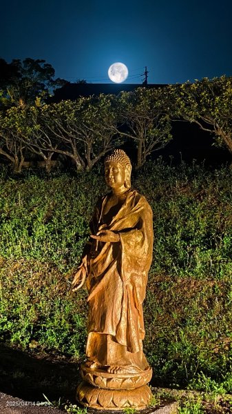 #翡翠水庫壩頂 #日出雲海 #火燒雲 #霞光 #月圓 #松月櫻 #鱷魚島雲海 4/14 & 162760614