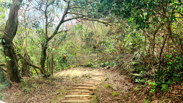 2025-0104 造鎮_五城山_天上山_三粒半_火焰山_慈惠堂_土城大潤發2682135