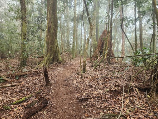 20260220板子寮山舊武界越山橫屏山O型3011643