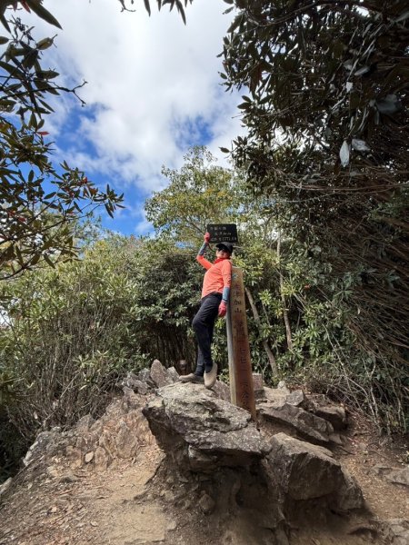 【谷關七雄】波津加(H1771.6m)肉腳配速成功2670581