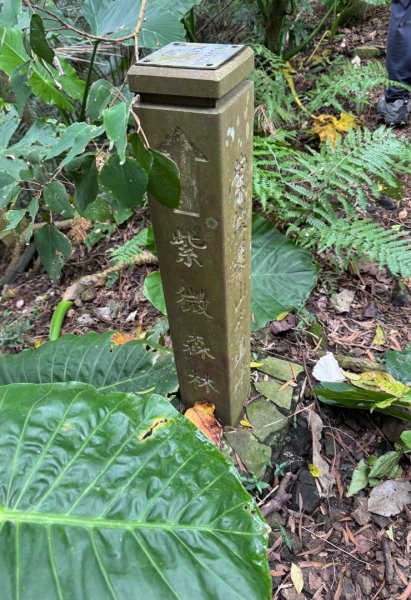 紫微聖母環山步道走六寮崙山與西南峰2989252