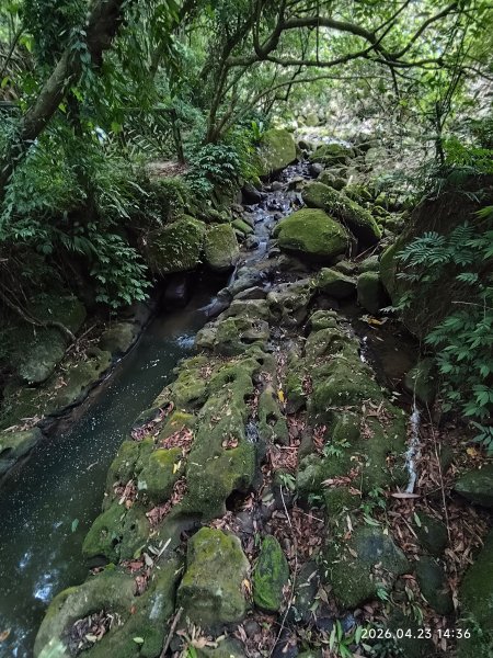 【臺北大縱走7】樟山寺→樟樹步道→指南宮貓空步道→壺穴步道→茶展中心步道→大成殿步道→指南宮千階步道3042068