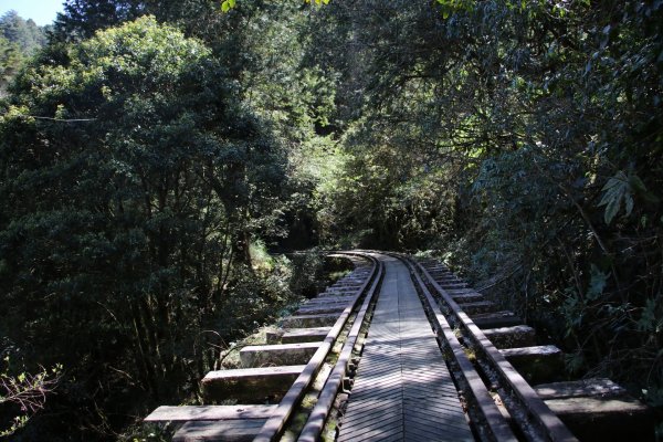 眠月線～年輕人爬山趣2854762