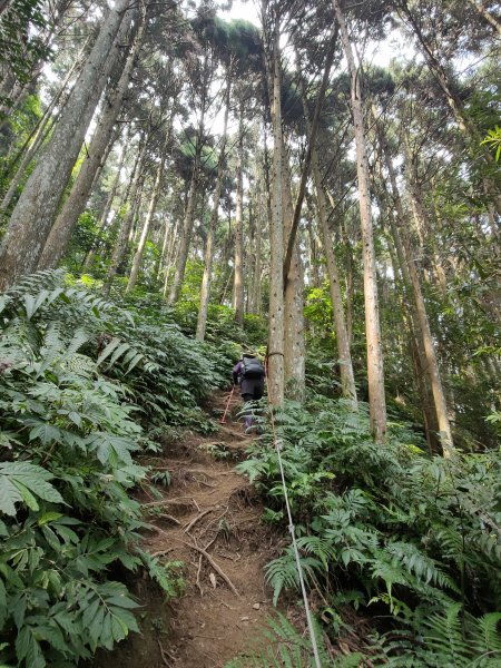 向天湖山(小百岳032 H1220M)2021-10-021478003