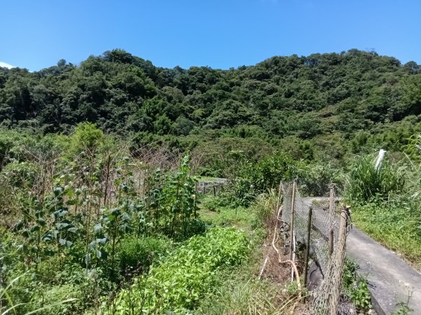 貢寮區文秀坑古道+觀日嶺步道O型2809169