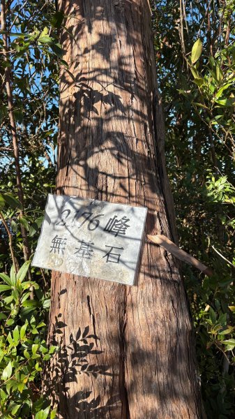 20250112八眉阿2688333