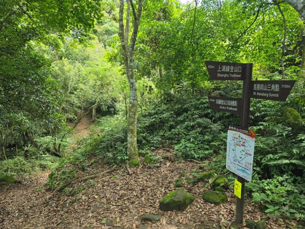 夏日的馬那邦山2786837