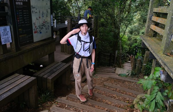 大坑四號步道_頭嵙山3079487