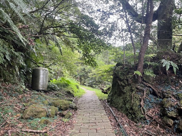 [微笑山線_ 第十段] 2025_0914 五分山系_菁桐煤礦段2889845