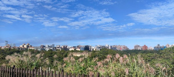 新寮休閒步道2949217