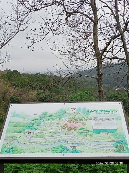 大安森林公園、桃園楊梅秀才登山步道走春趣2442000