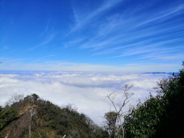 鹿場-加里山_彰化育樂協會_202401182431221