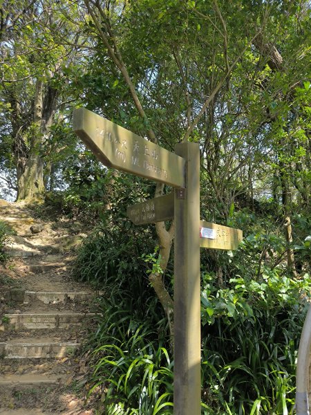 20250830天上山、旺旺嶺、太極嶺2874077