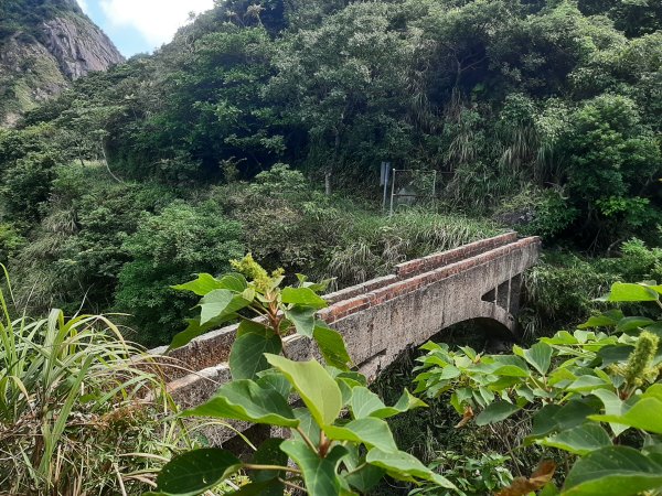 金瓜石，與奈良美智的詩意邂逅2883171